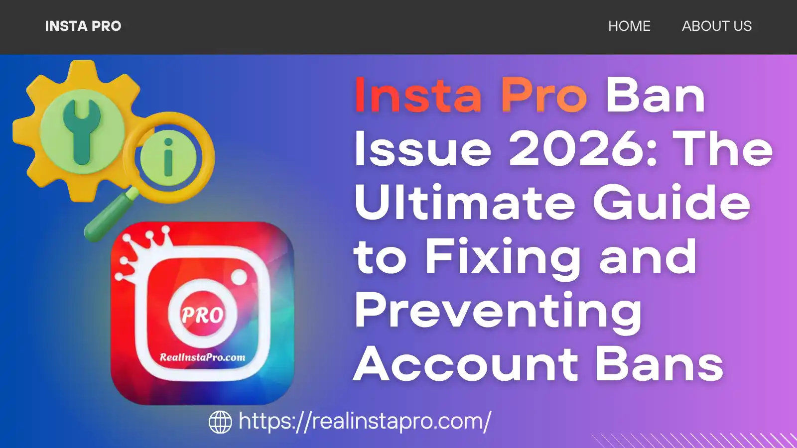 Insta Pro Ban Issue